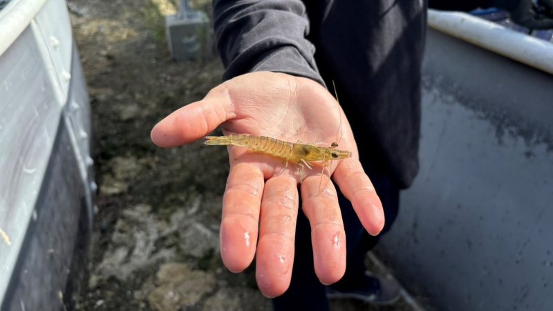 持続を脅かす気候変動